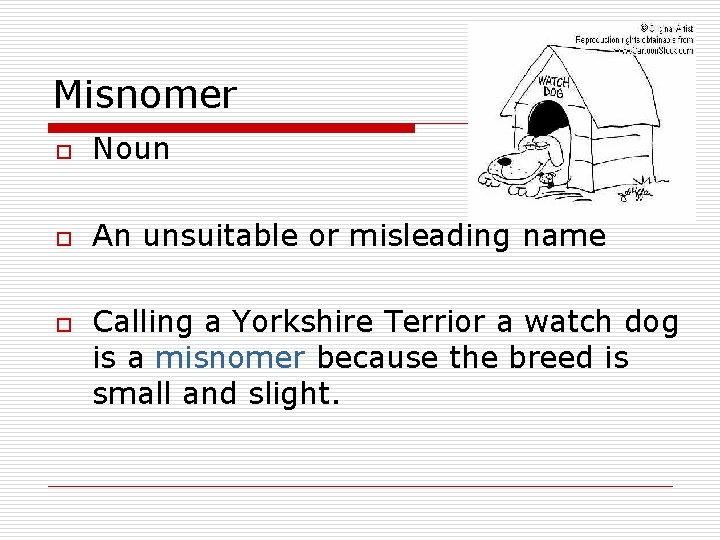 Misnomer o Noun o An unsuitable or misleading name o Calling a Yorkshire Terrior