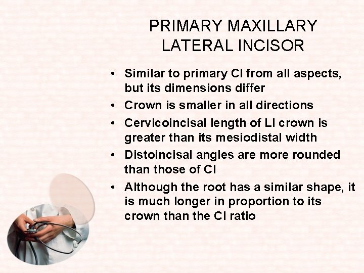 PRIMARY MAXILLARY LATERAL INCISOR • Similar to primary CI from all aspects, but its