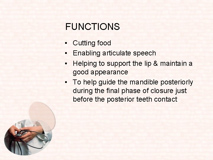 FUNCTIONS • Cutting food • Enabling articulate speech • Helping to support the lip