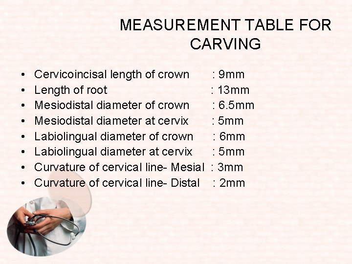 MEASUREMENT TABLE FOR CARVING • • Cervicoincisal length of crown Length of root Mesiodistal