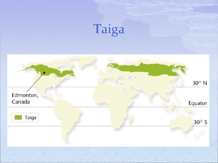 Taiga 