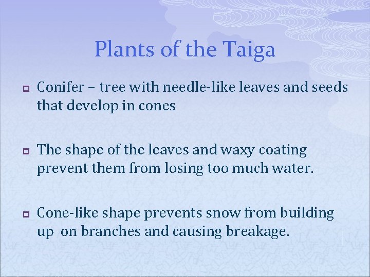Plants of the Taiga p p p Conifer – tree with needle-like leaves and