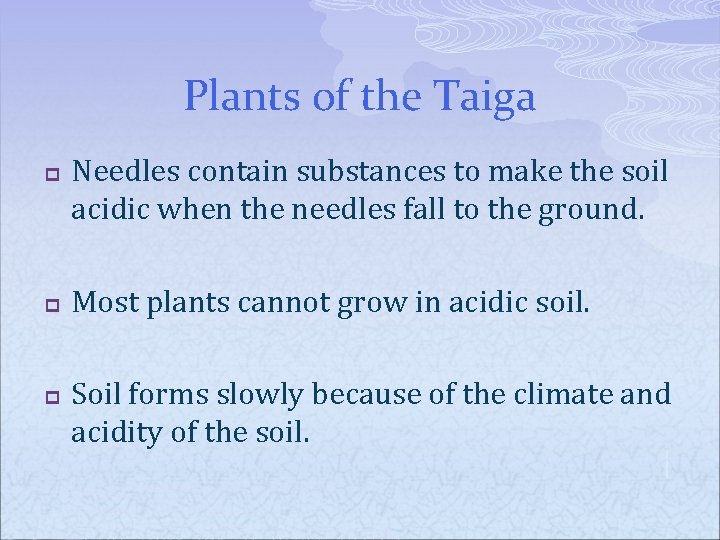 Plants of the Taiga p p p Needles contain substances to make the soil