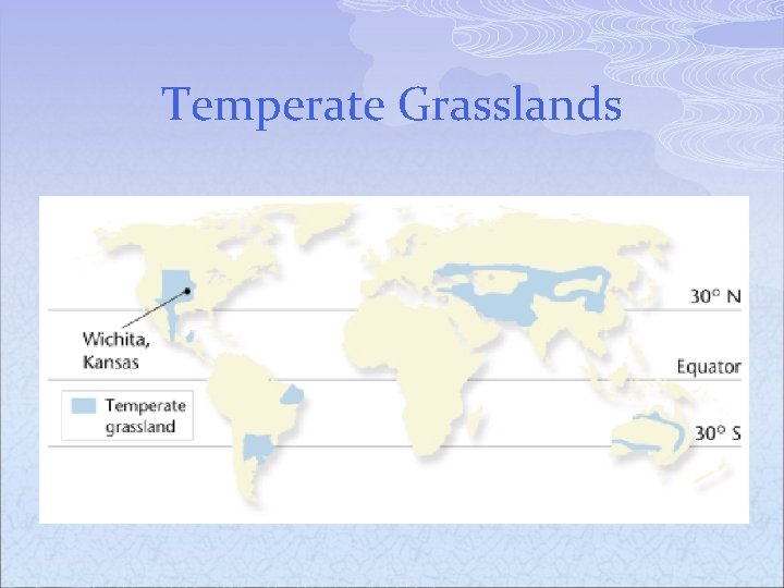 Temperate Grasslands 