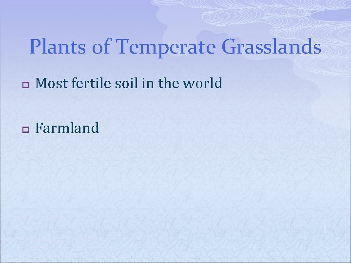 Plants of Temperate Grasslands p Most fertile soil in the world p Farmland 