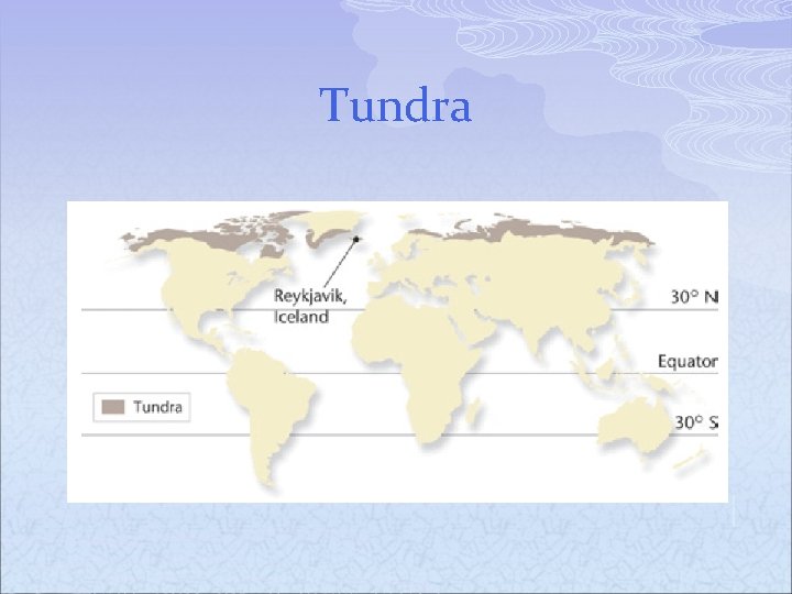 Tundra 