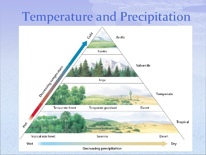 Temperature and Precipitation 