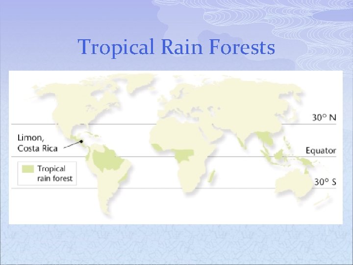Tropical Rain Forests 