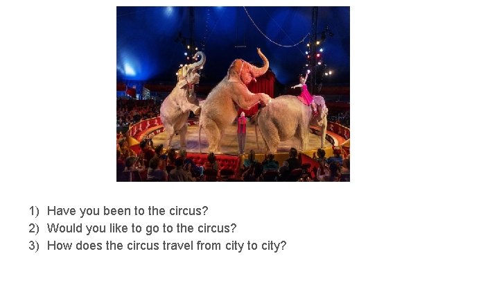 1) Have you been to the circus? 2) Would you like to go to