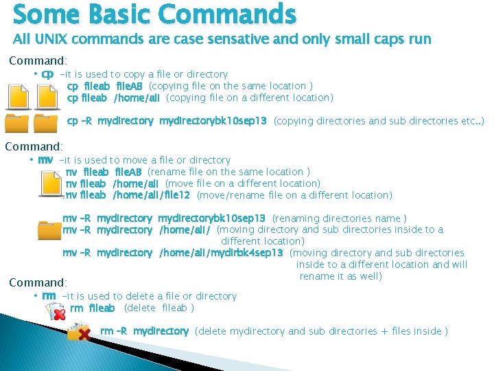 Some Basic Commands All UNIX commands are case sensative and only small caps run