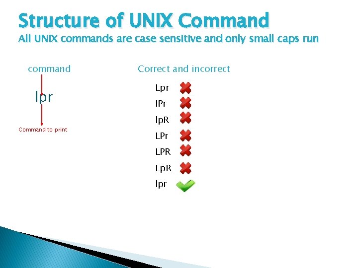Structure of UNIX Command All UNIX commands are case sensitive and only small caps