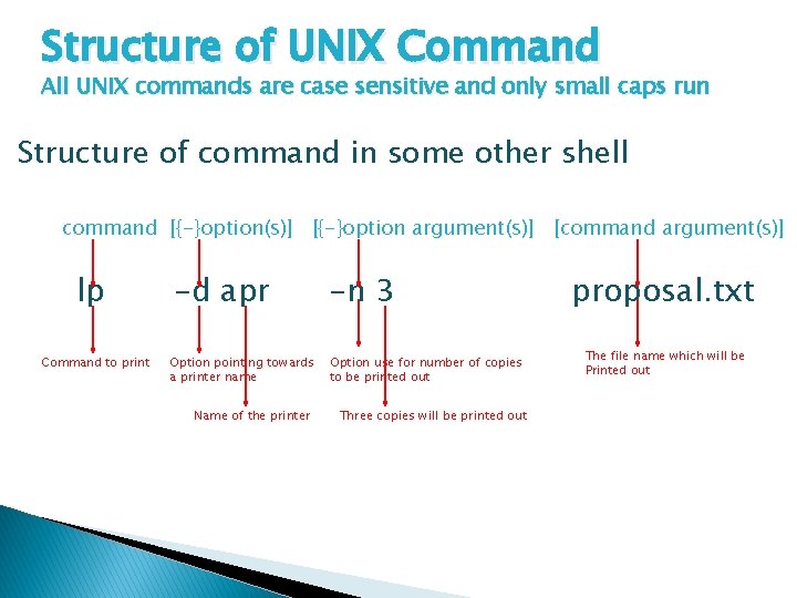 Structure of UNIX Command All UNIX commands are case sensitive and only small caps