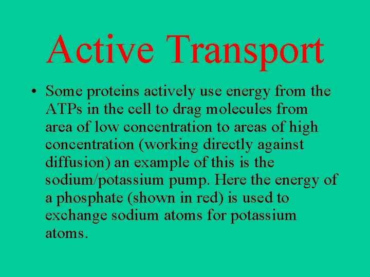 Active Transport • Some proteins actively use energy from the ATPs in the cell