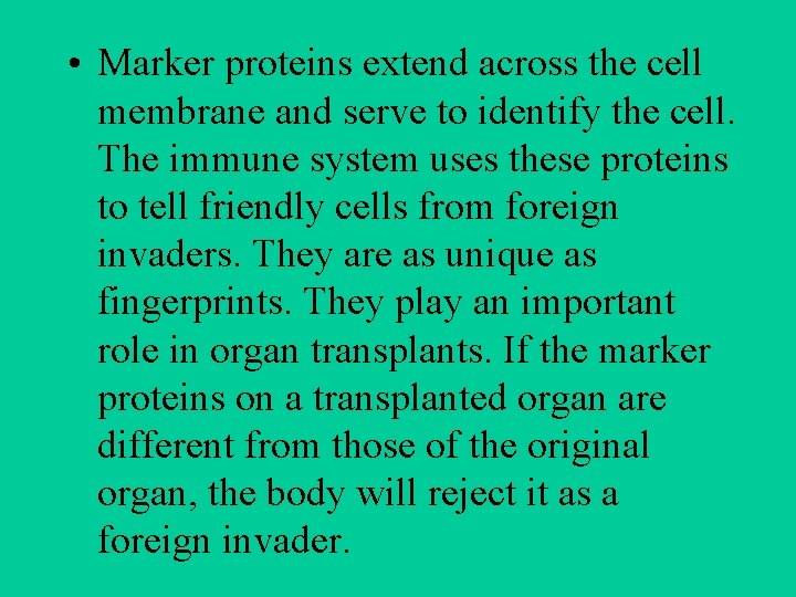  • Marker proteins extend across the cell membrane and serve to identify the