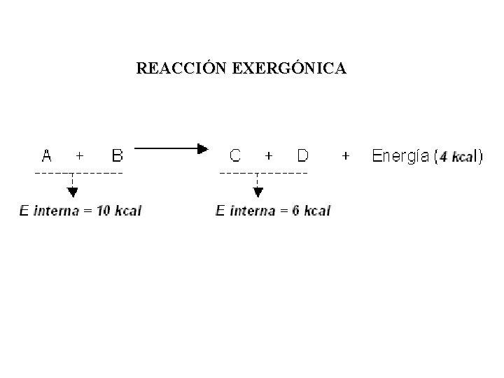 REACCIÓN EXERGÓNICA 