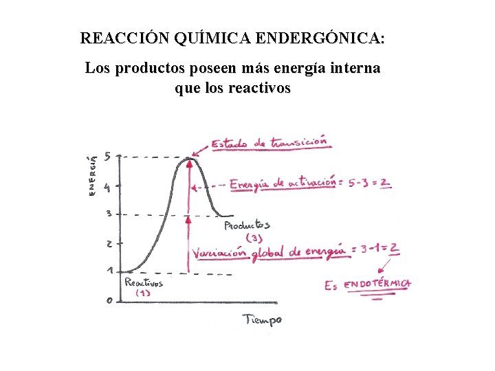 REACCIÓN QUÍMICA ENDERGÓNICA: Los productos poseen más energía interna que los reactivos 