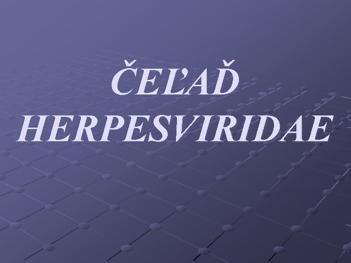 ČEĽAĎ HERPESVIRIDAE 