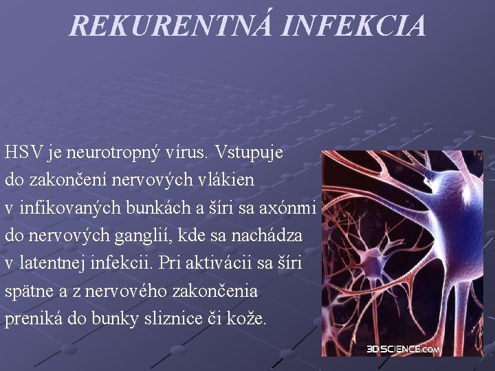 REKURENTNÁ INFEKCIA HSV je neurotropný vírus. Vstupuje do zakončení nervových vlákien v infikovaných bunkách