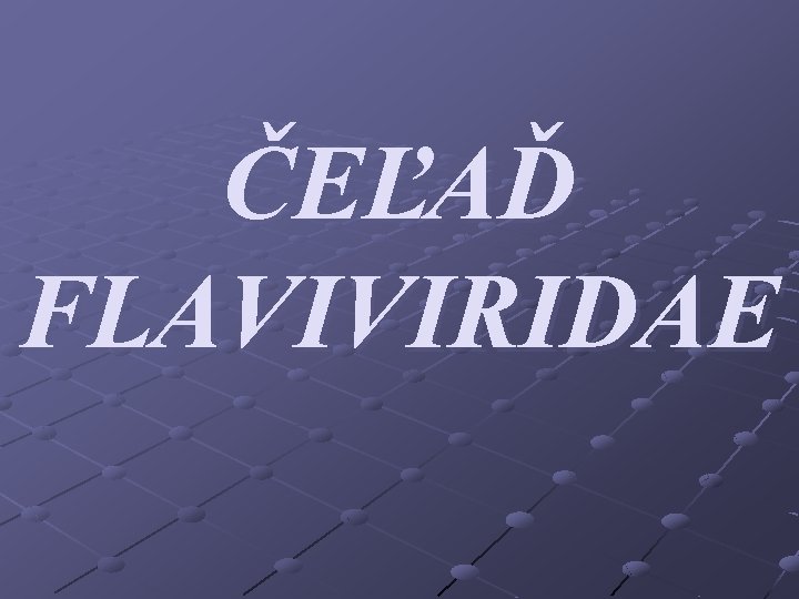 ČEĽAĎ FLAVIVIRIDAE 