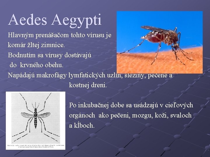 Aedes Aegypti Hlavným prenášačom tohto vírusu je komár žltej zimnice. Bodnutím sa vírusy dostávajú