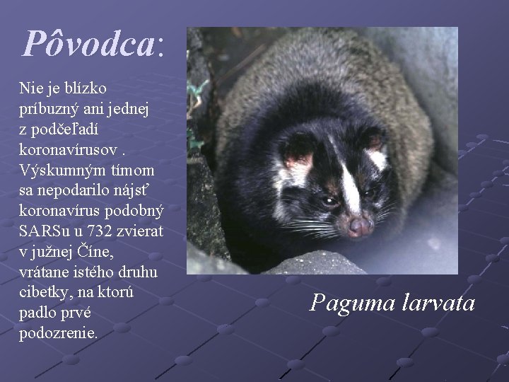 Pôvodca: Nie je blízko príbuzný ani jednej z podčeľadí koronavírusov. Výskumným tímom sa nepodarilo