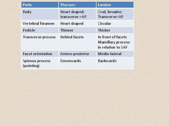 Parts Thoracic Lumbar Body Heart shaped; transverse-=AP Oval, broader; Transverse>AP Vertebral foramen Heart shaped