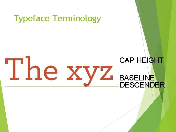 Typeface Terminology CAP HEIGHT BASELINE DESCENDER 
