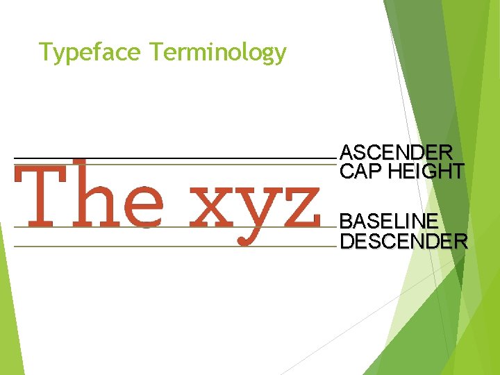 Typeface Terminology ASCENDER CAP HEIGHT BASELINE DESCENDER 