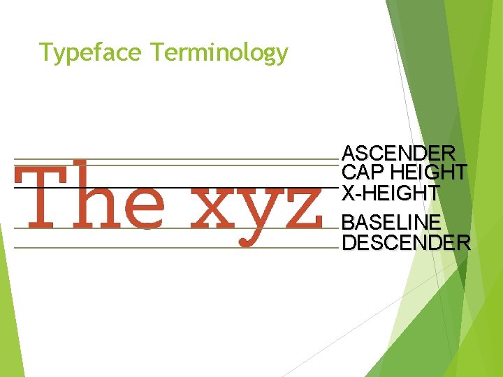 Typeface Terminology ASCENDER CAP HEIGHT X-HEIGHT BASELINE DESCENDER 
