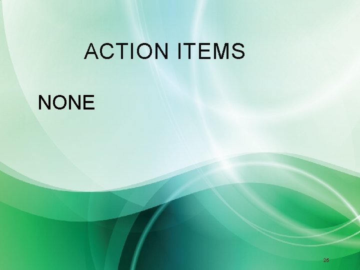 ACTION ITEMS NONE 25 