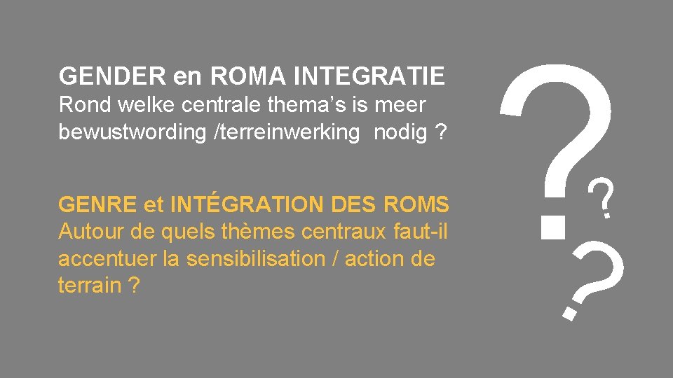 GENDER en ROMA INTEGRATIE Rond welke centrale thema’s is meer bewustwording /terreinwerking nodig ?