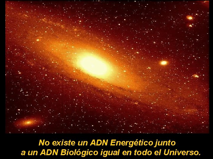 No existe un ADN Energético junto a un ADN Biológico igual en todo el