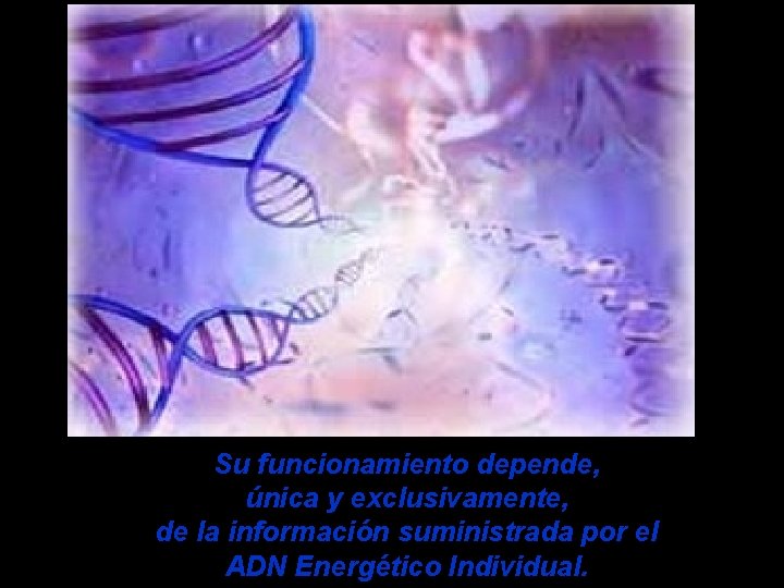 Su funcionamiento depende, única y exclusivamente, de la información suministrada por el ADN Energético