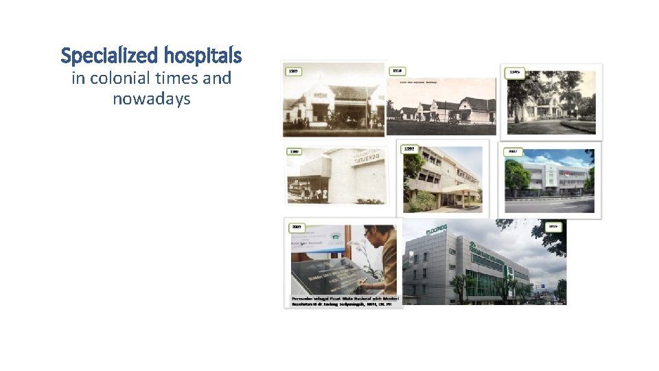 Specialized hospitals in colonial times and nowadays 