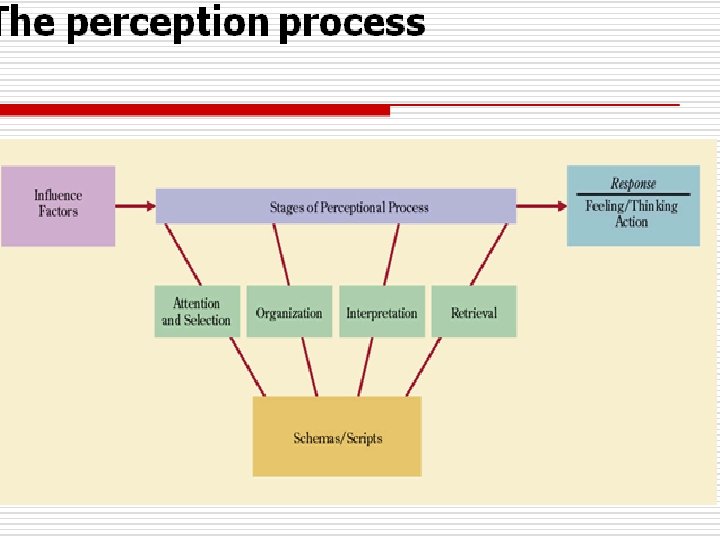 THE PERCEPTION PROCESS 