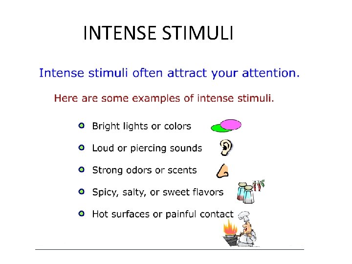 INTENSE STIMULI 