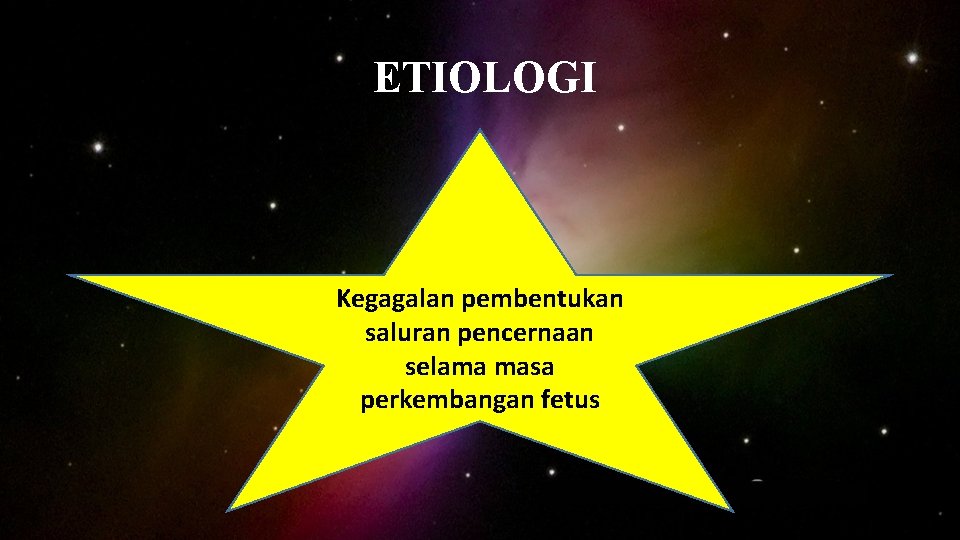 ETIOLOGI Kegagalan pembentukan saluran pencernaan selama masa perkembangan fetus 