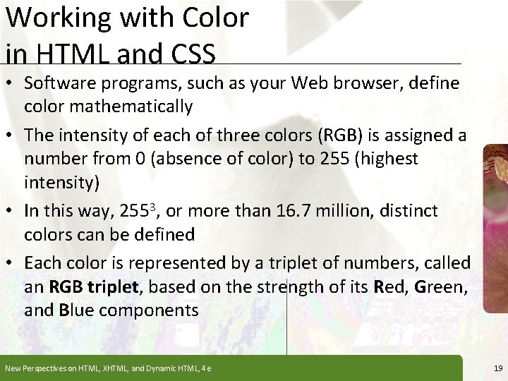 Working with Color in HTML and CSS XP • Software programs, such as your Working with Color in HTML and CSS XP • Software programs, such as your