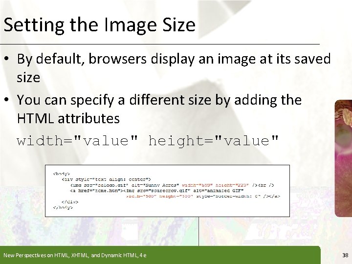 Setting the Image Size XP • By default, browsers display an image at its Setting the Image Size XP • By default, browsers display an image at its