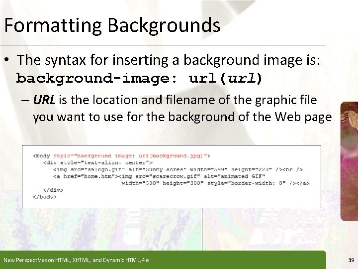 Formatting Backgrounds XP • The syntax for inserting a background image is: background-image: url(url) Formatting Backgrounds XP • The syntax for inserting a background image is: background-image: url(url)