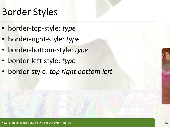 Border Styles • • • XP border-top-style: type border-right-style: type border-bottom-style: type border-left-style: type Border Styles • • • XP border-top-style: type border-right-style: type border-bottom-style: type border-left-style: type