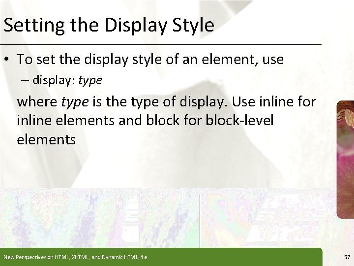 Setting the Display Style XP • To set the display style of an element, Setting the Display Style XP • To set the display style of an element,