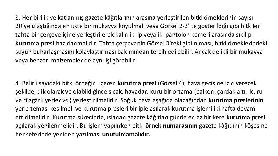 3. Her biri ikiye katlanmış gazete kâğıtlarının arasına yerleştirilen bitki örneklerinin sayısı 20’ye ulaştığında