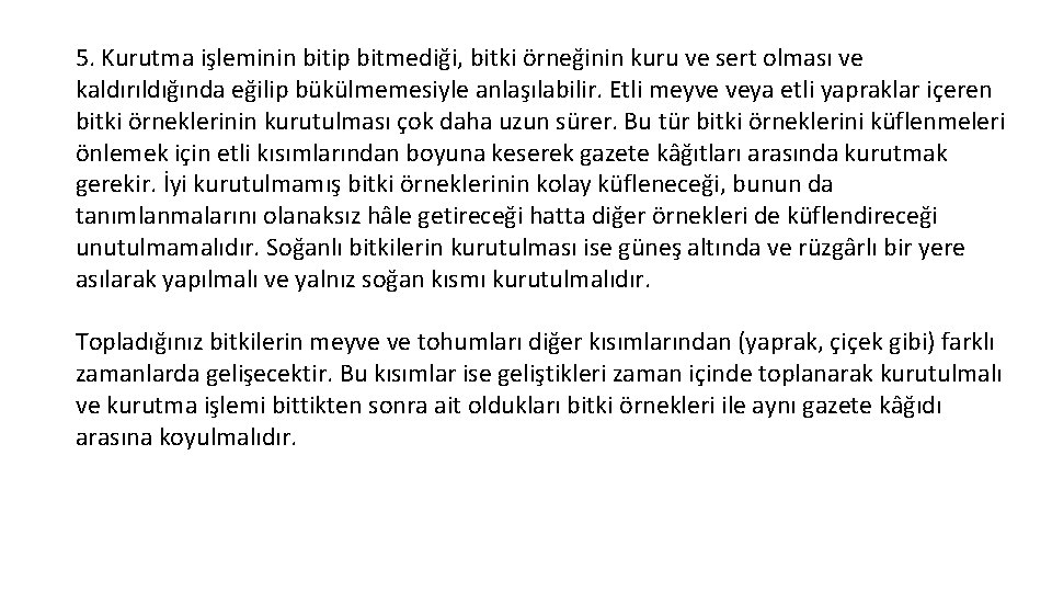 5. Kurutma işleminin bitip bitmediği, bitki örneğinin kuru ve sert olması ve kaldırıldığında eğilip