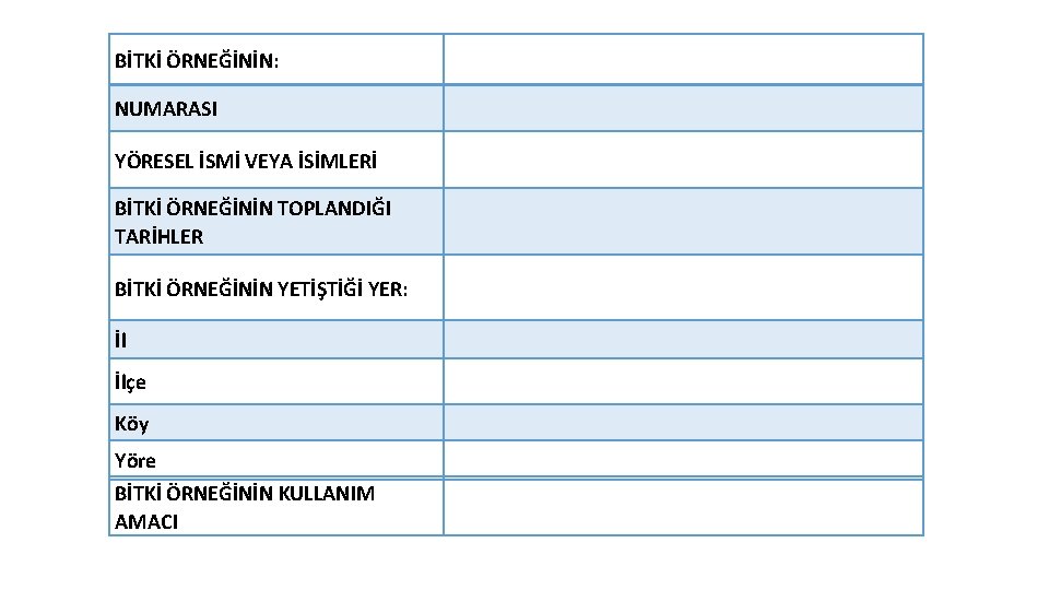 BİTKİ ÖRNEĞİNİN: NUMARASI YÖRESEL İSMİ VEYA İSİMLERİ BİTKİ ÖRNEĞİNİN TOPLANDIĞI TARİHLER BİTKİ ÖRNEĞİNİN YETİŞTİĞİ