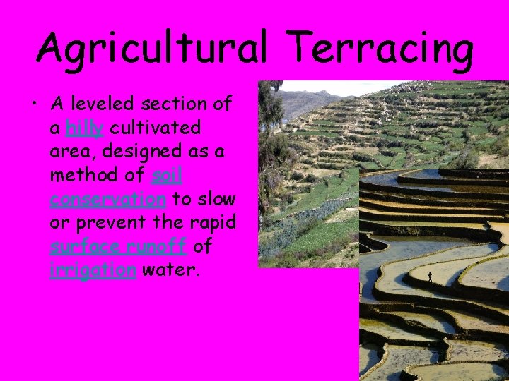 Agricultural Terracing • A leveled section of a hilly cultivated area, designed as a
