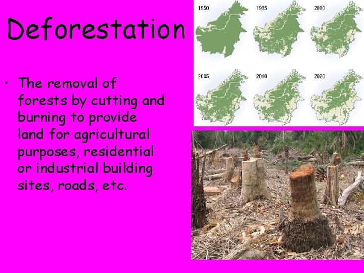 Deforestation • The removal of forests by cutting and burning to provide land for