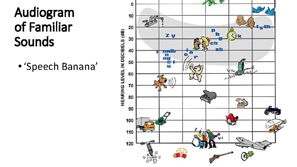 Audiogram of Familiar Sounds • ‘Speech Banana’ 