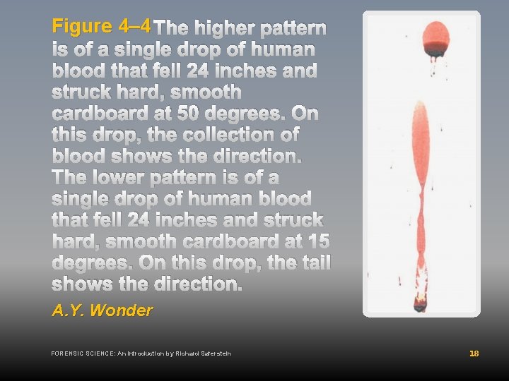 Figure 4– 4 The higher pattern is of a single drop of human blood