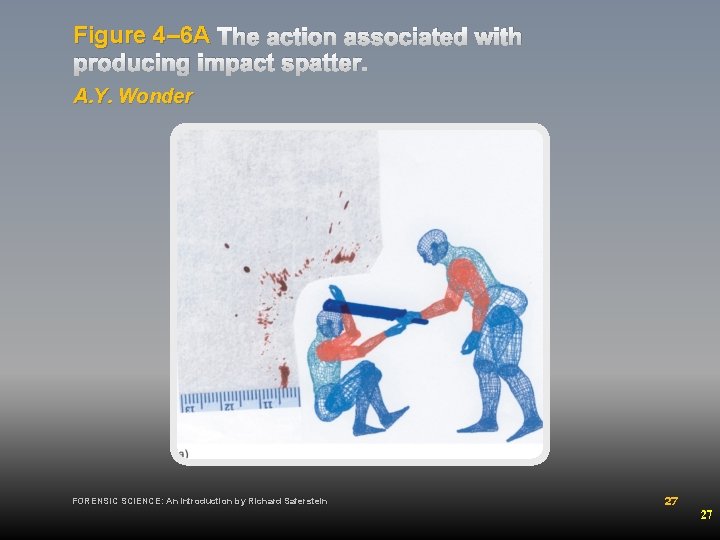 Figure 4– 6 A The action associated with producing impact spatter. A. Y. Wonder